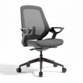 Sedia da ufficio ergonomica con supporto lombare in rete – 60 x 60 x 100 cm